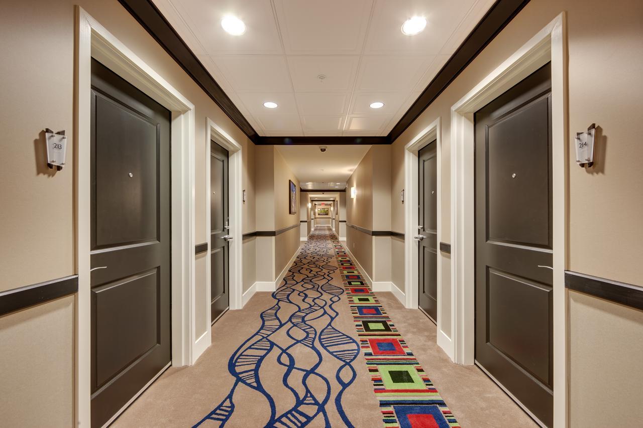 Cypress Bayou Casino Hotel Franklin Exterior photo
